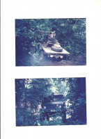 /album/galeria-de-fotos/m-pala-3-2017-02-26-001-jpg/